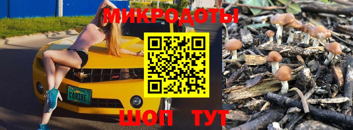 Псилоцибиновые грибы мицелий  Вход с VPN  как найти закладки  Шелехов 