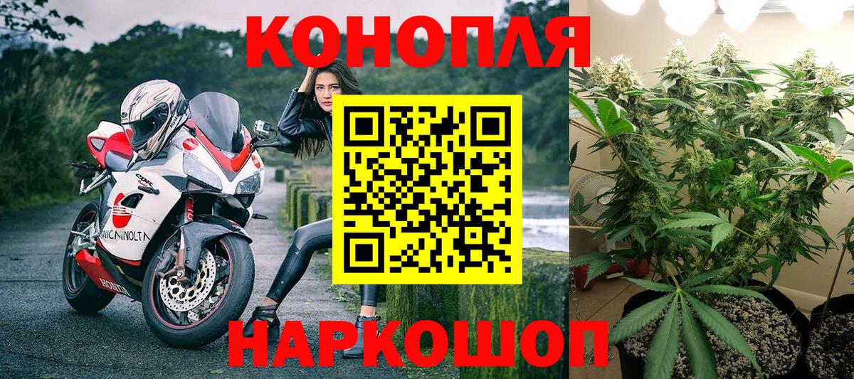 Марихуана OG Kush Шелехов